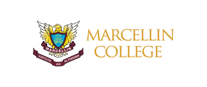 mercellin.png