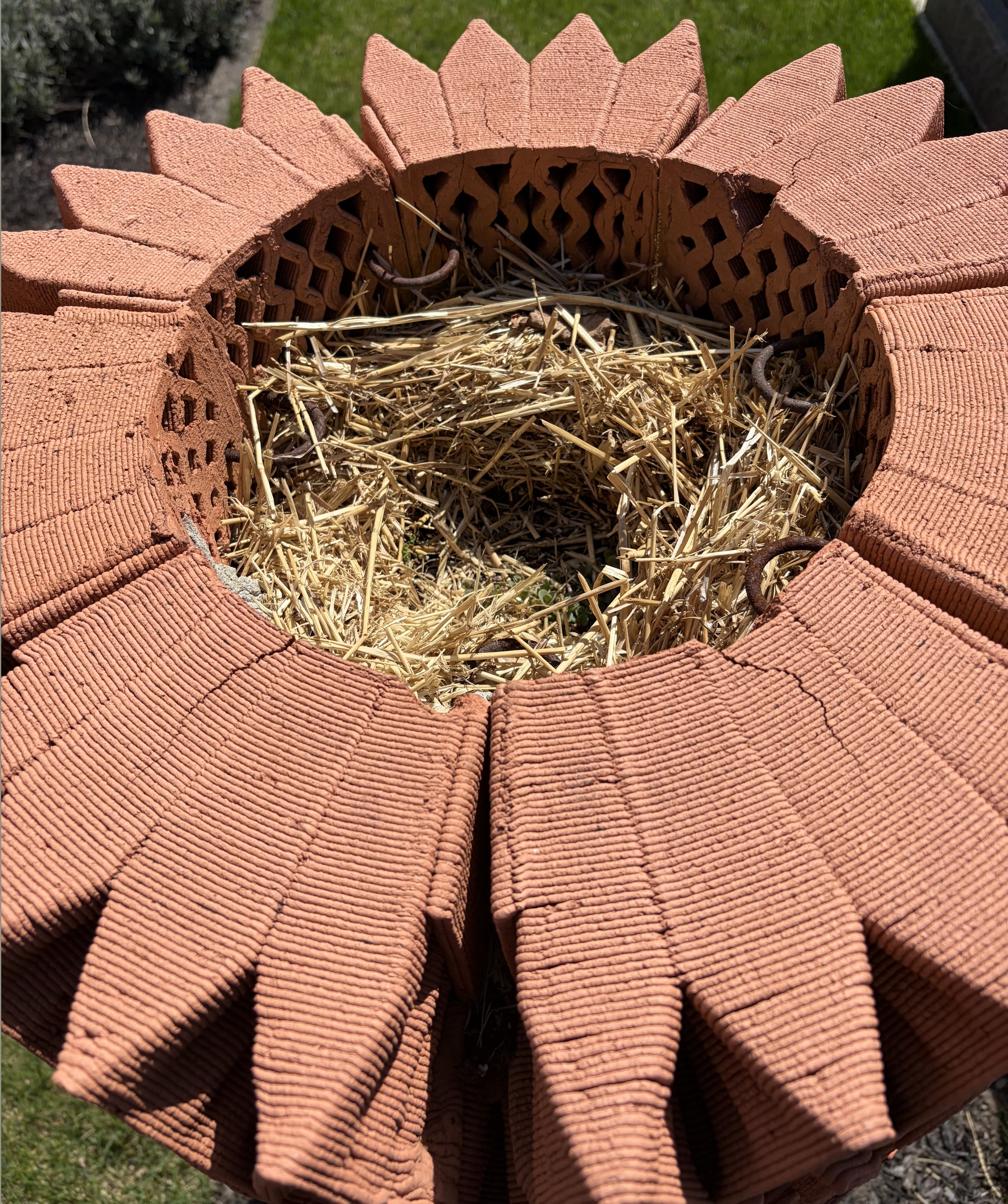 Birds nest.jpg