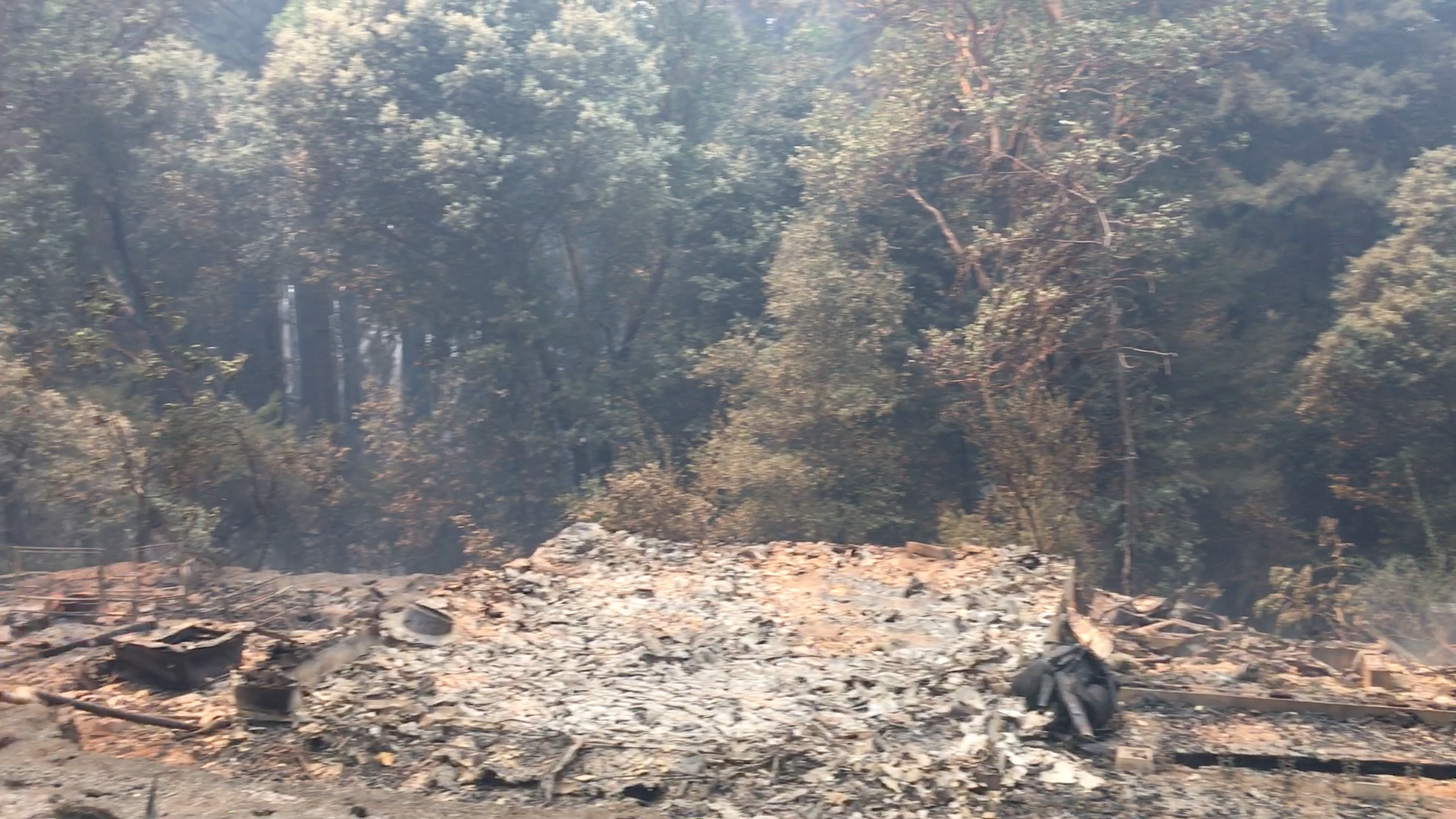 It’s All Gone, But I’m Still Here—Surviving Wildfire