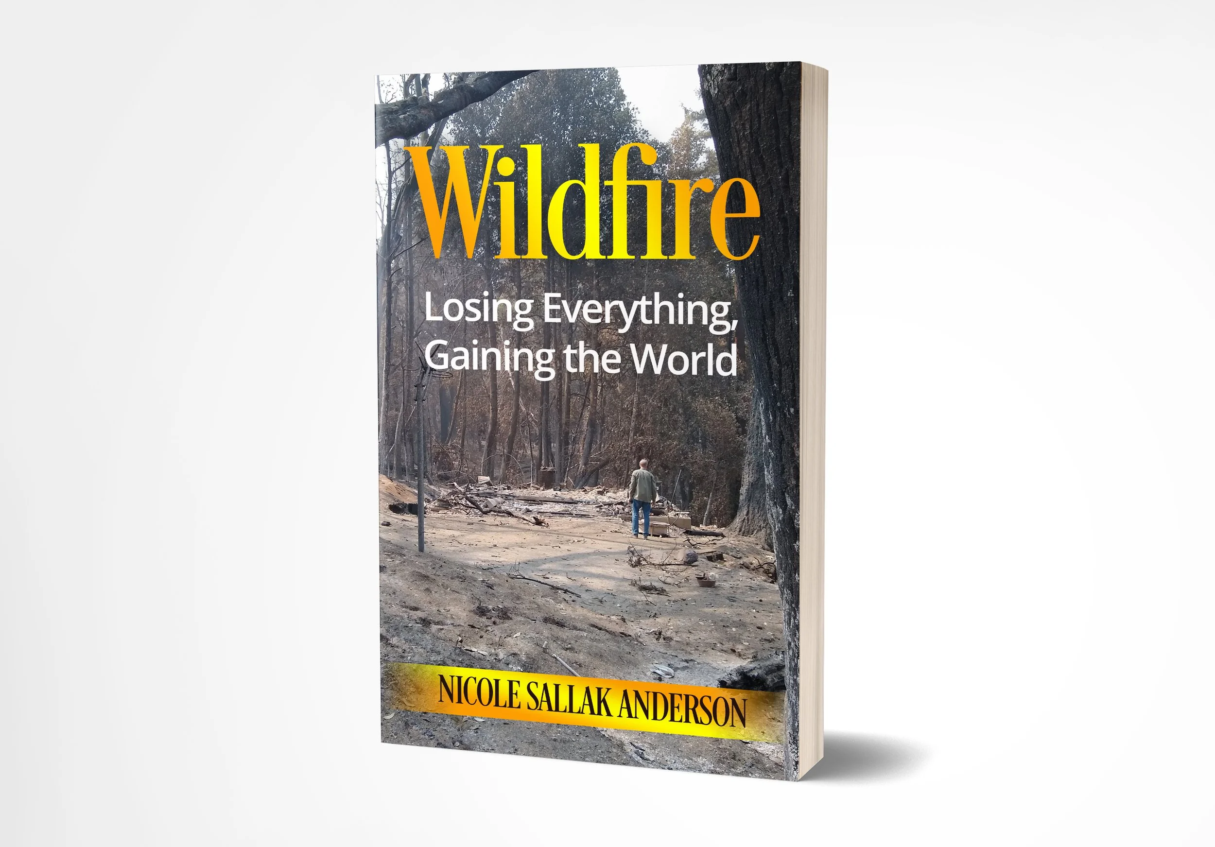 Wildfire: Losing Everything, Gaining the World (HARDCOVER VERSION)