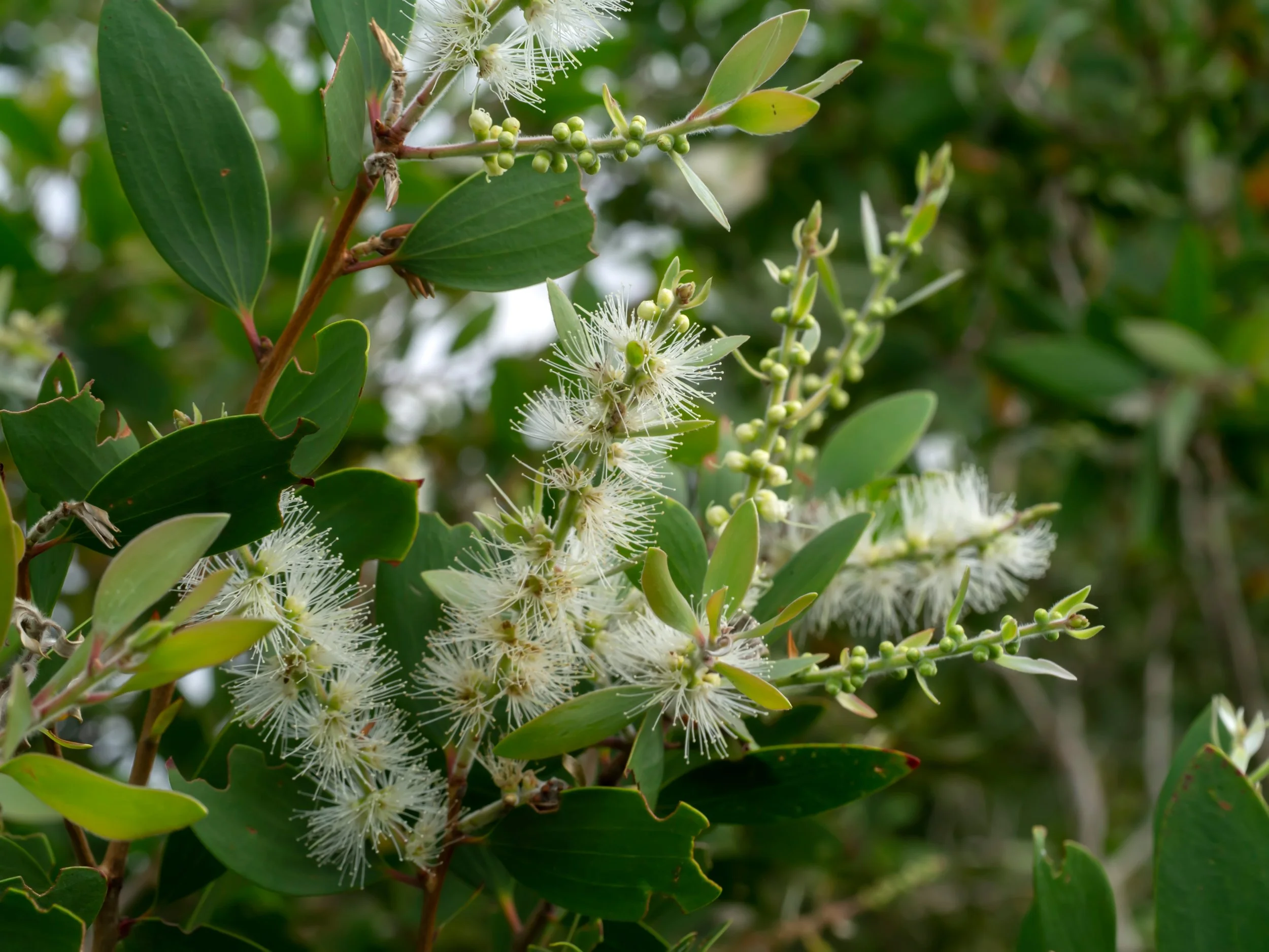 A Stellar Start to 2025!