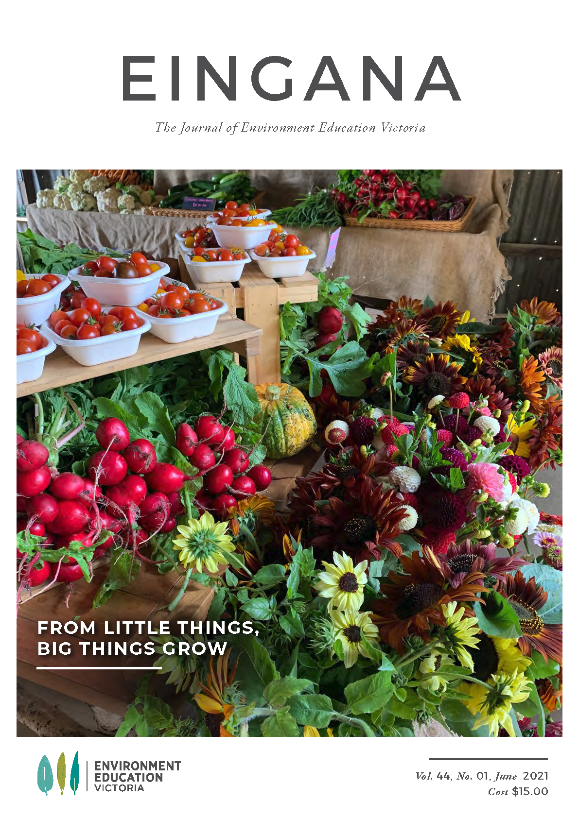 Eingana_VOL44_ No1_June_2021_DIGITAL small 1.png