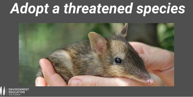 FREE Adopt a Threatened Species Incursion: Available Term 3 and 4