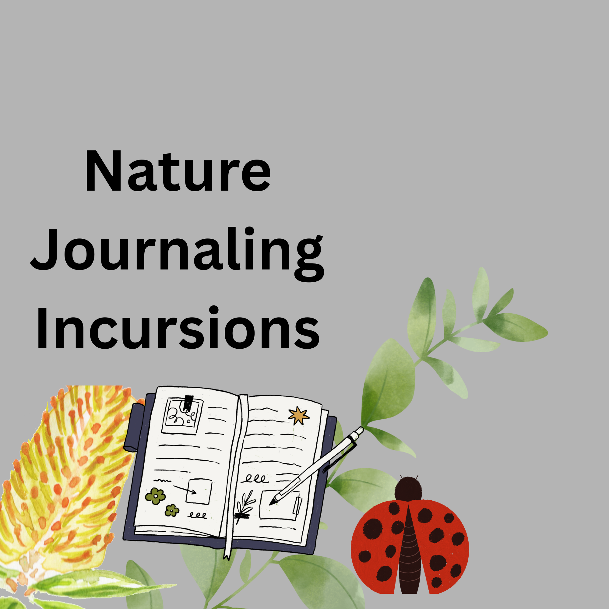 Nature Journaling Incursions all through Term 3 and Term 4 - FREE for Western Metro Schools