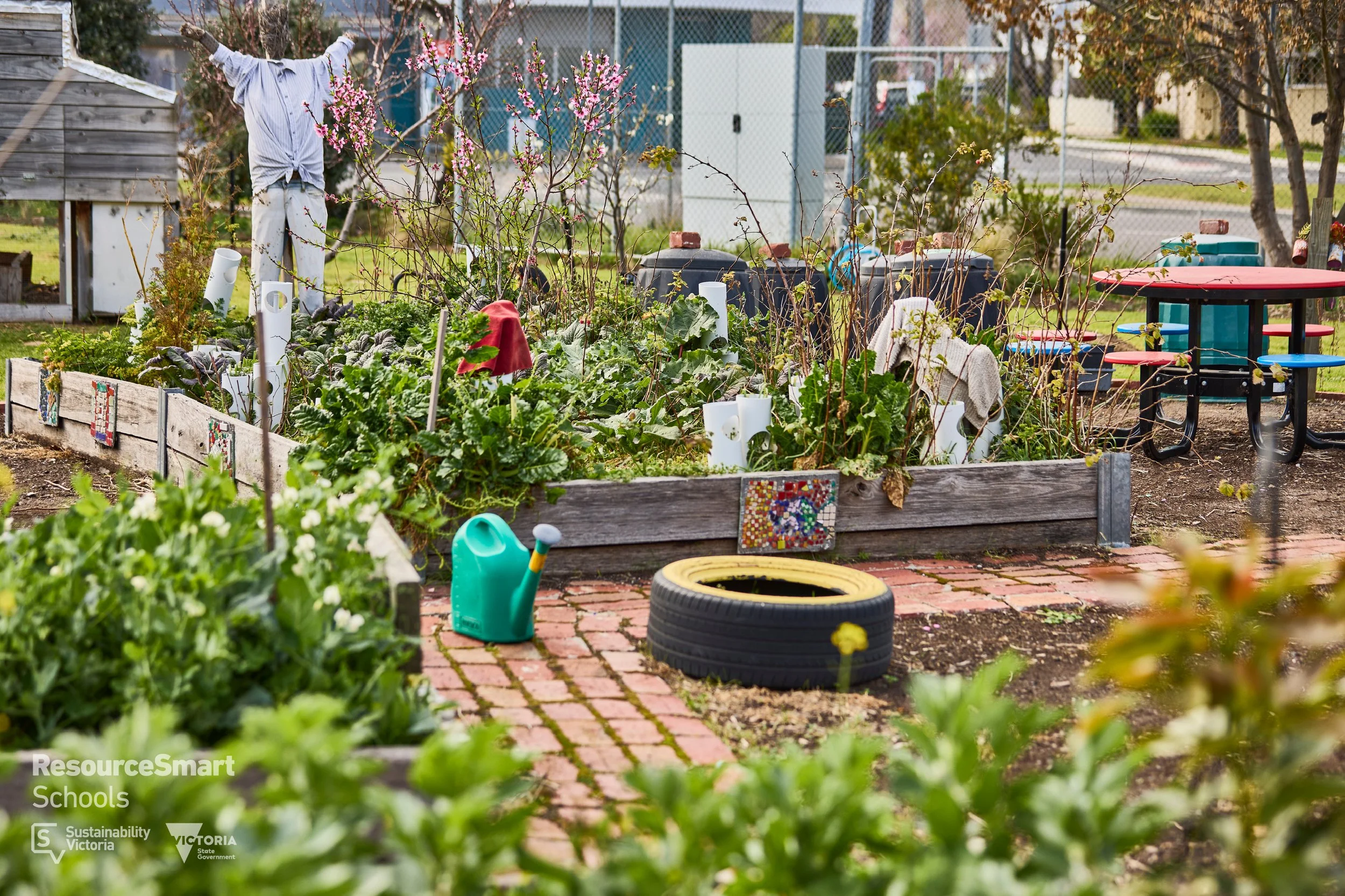 Environment and Sustainability Educators | Environment Education Victoria