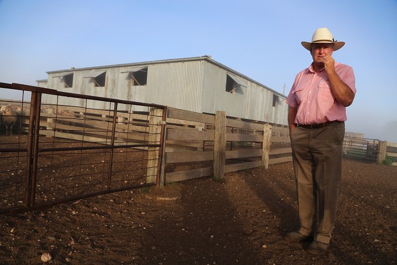 Steve Ridley - Auctioneer / Livestock Specialist &amp; Livestock Manager with Elders