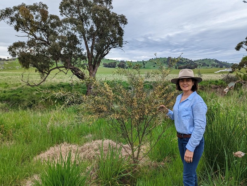Belinda Kelly – Biodiversity and Sustainability Manager, Rugby Rugby Pastoral Co.