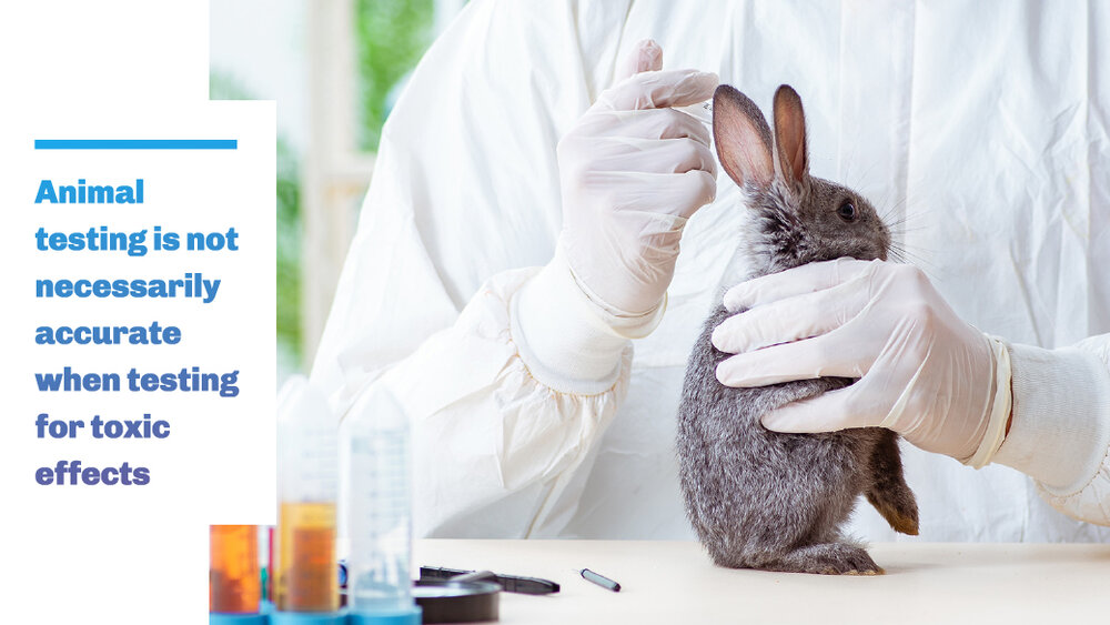 Are Animal-Tested Products Safe? | Million Marker