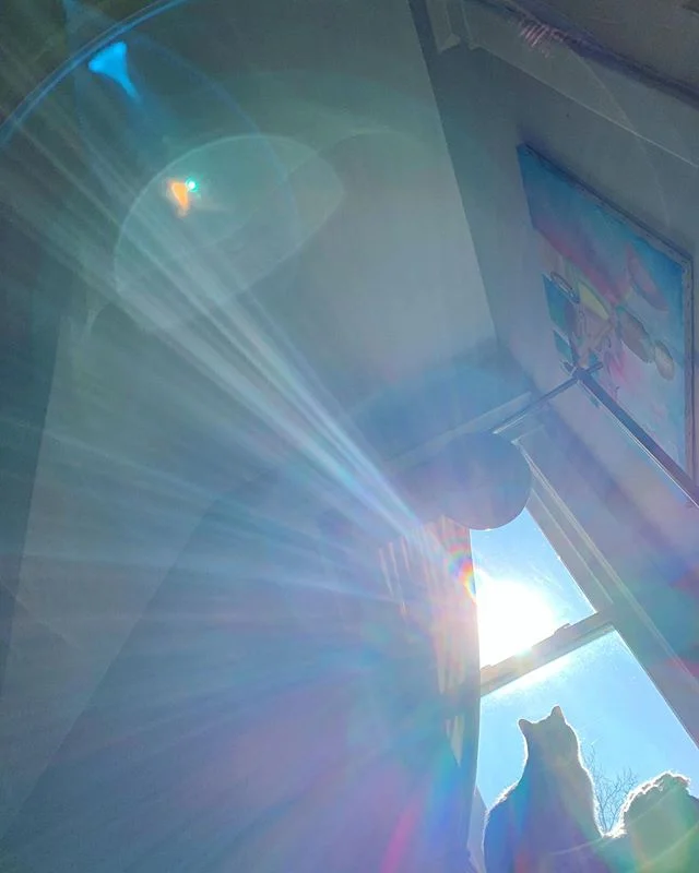 Turns out, all I had to do to find my place in the sun was roll over. #nofilter