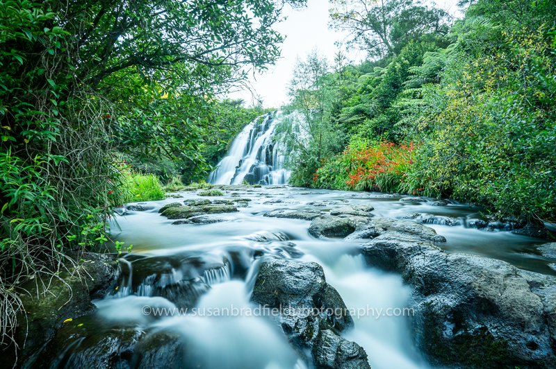 Owharoa Falls.jpg