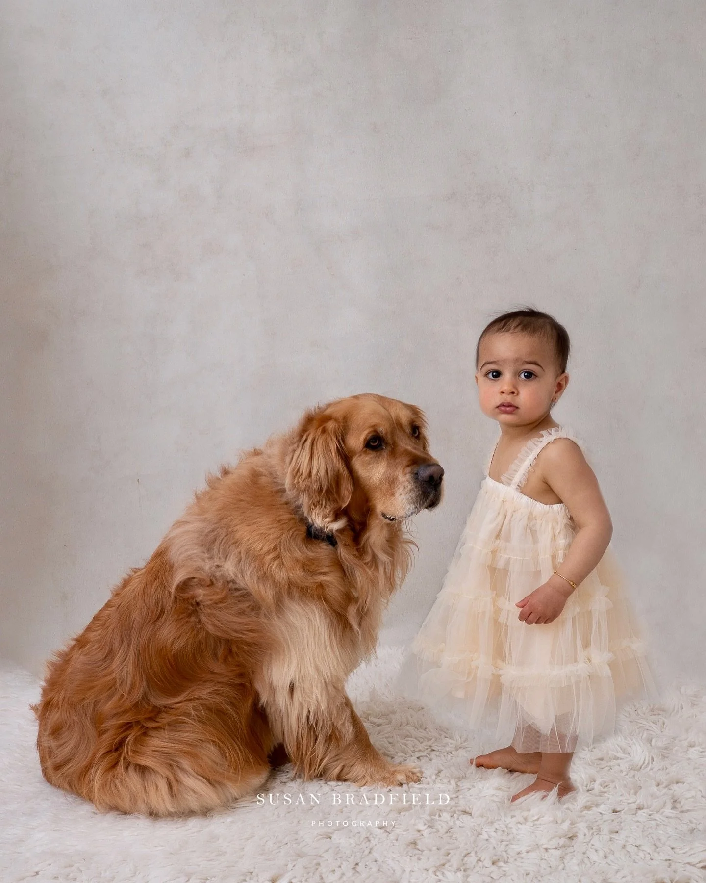Doggies are the BEST ❤️❤️❤️🐾🐾🐾.
.
Number 1 Maternity Photographer Melbourne 2025 and 2024, family and newborn photographer
WEBSITE: www.susanbradfieldphotography.com
NOW BOOKING INTO 2026 DATES NEWBORN, MATERNITY, FAMILY Brighton studio location, 