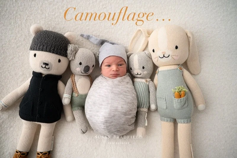 .
.
.
Number 1 Maternity Photographer Melbourne 2025 and 2024, family and newborn photographer
WEBSITE: www.susanbradfieldphotography.com
NOW BOOKING INTO 2026 DATES NEWBORN, MATERNITY, FAMILY Brighton studio location, outdoor shoot available. 
Sessi