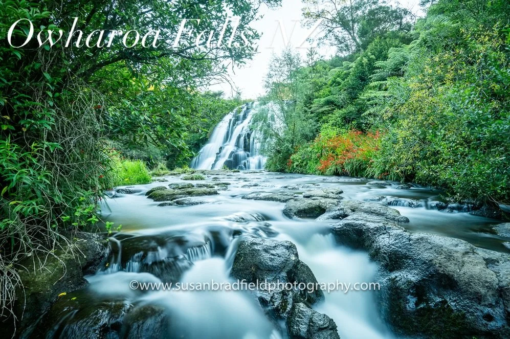 The variety of scenic nature and sheer beauty of NZ is overwhelming. What a stunning country. 🇳🇿❤️