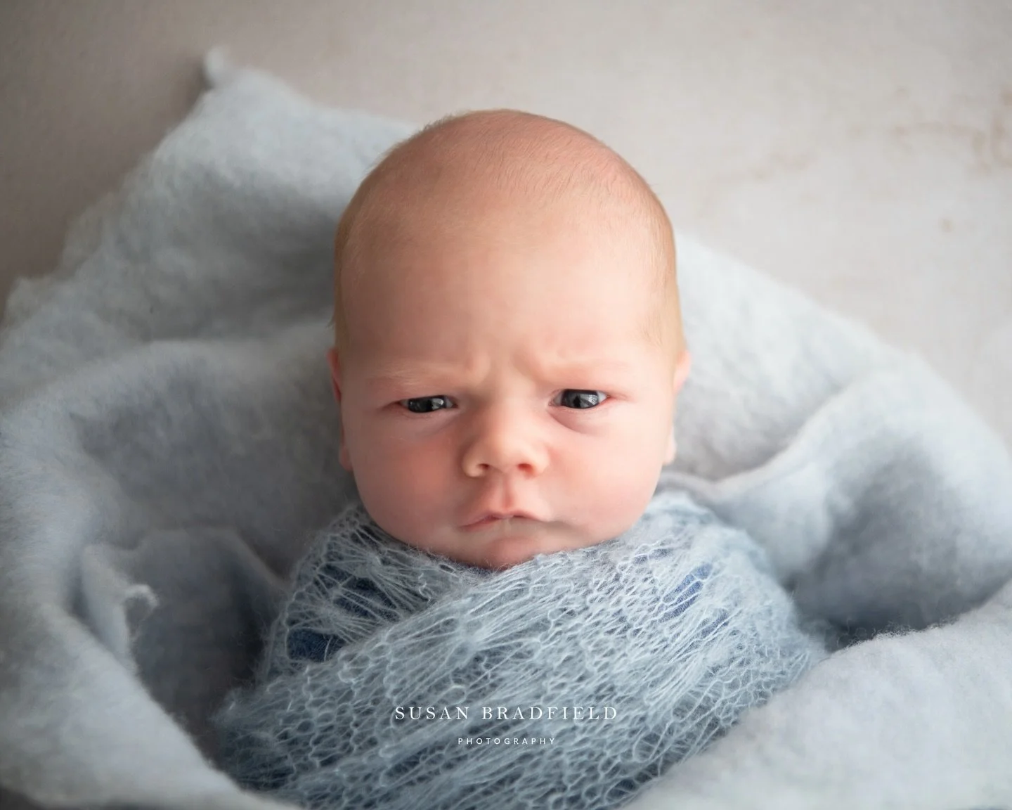 Let&rsquo;s capture all the moods 💙.
.
.
Number 1 Maternity Photographer Melbourne 2025 and 2024, family and newborn photographer
WEBSITE: www.susanbradfieldphotography.com
NOW BOOKING INTO 2026 DATES NEWBORN, MATERNITY, FAMILY Brighton studio locat