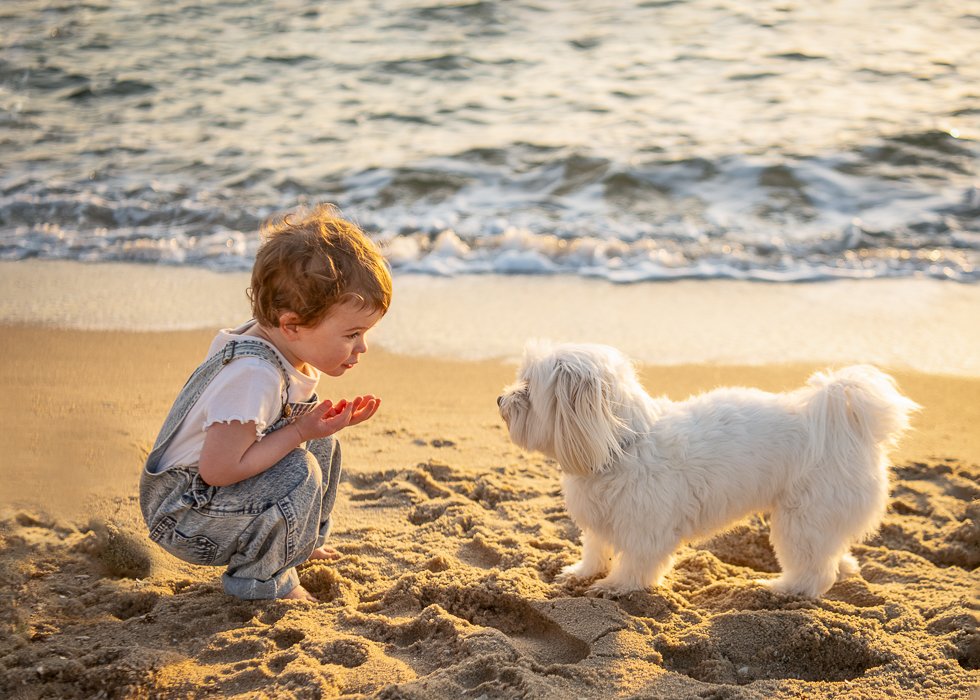 Melbourne child photographer image of a small child crouched down talking to her white dog at the beach