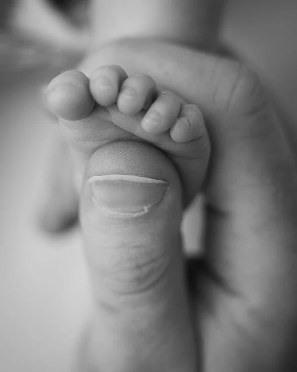 Brighton Newborn photography image of Macro Black and white of an adult  thumb holding a newborn baby foot
