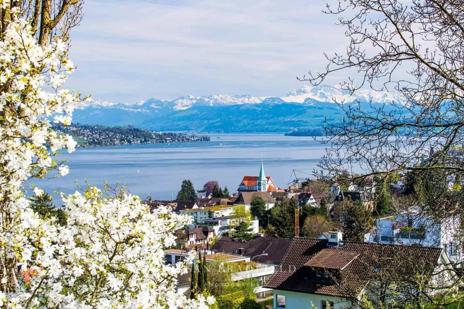 Susan%2BBradfield%2BPhotography%252C%2Bimage%2Bof%2BSwitzerland-min_compressed_compressed (2).jpg