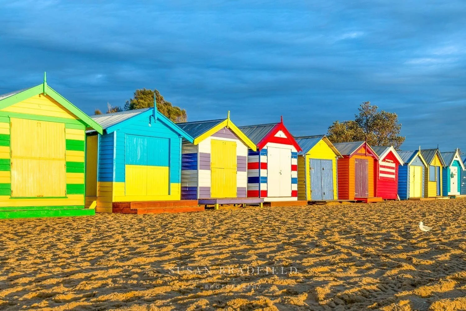 Susan Bradfield Photography print shop image of the Brighton Beach beach boxes at sunset. The colours are very bright.