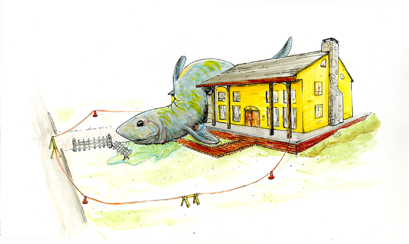Fish in Your Driveway, 2011