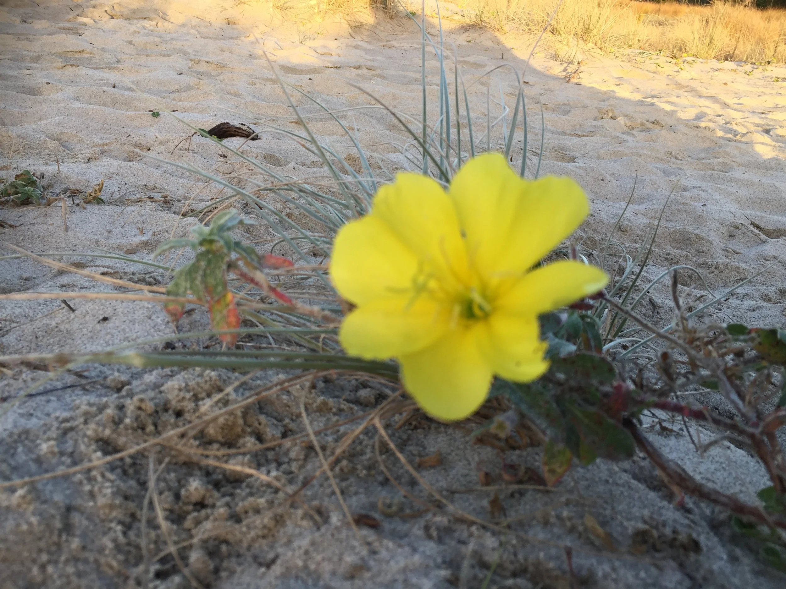 - New product or industry strategy 