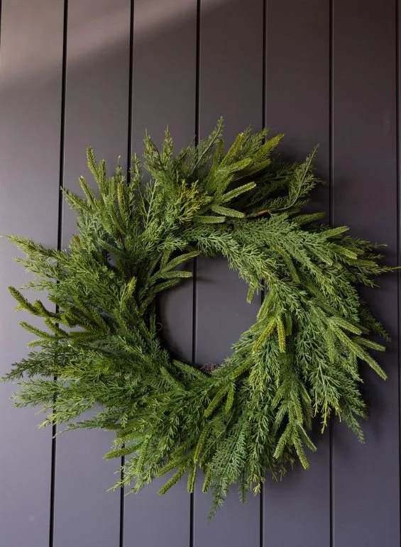 Evergreen_4.jpg