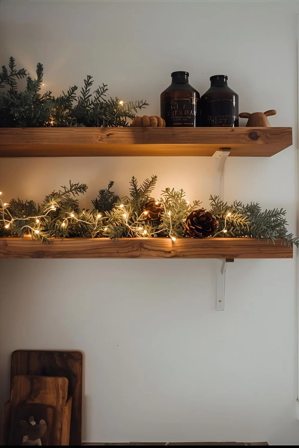 shelves.jpg