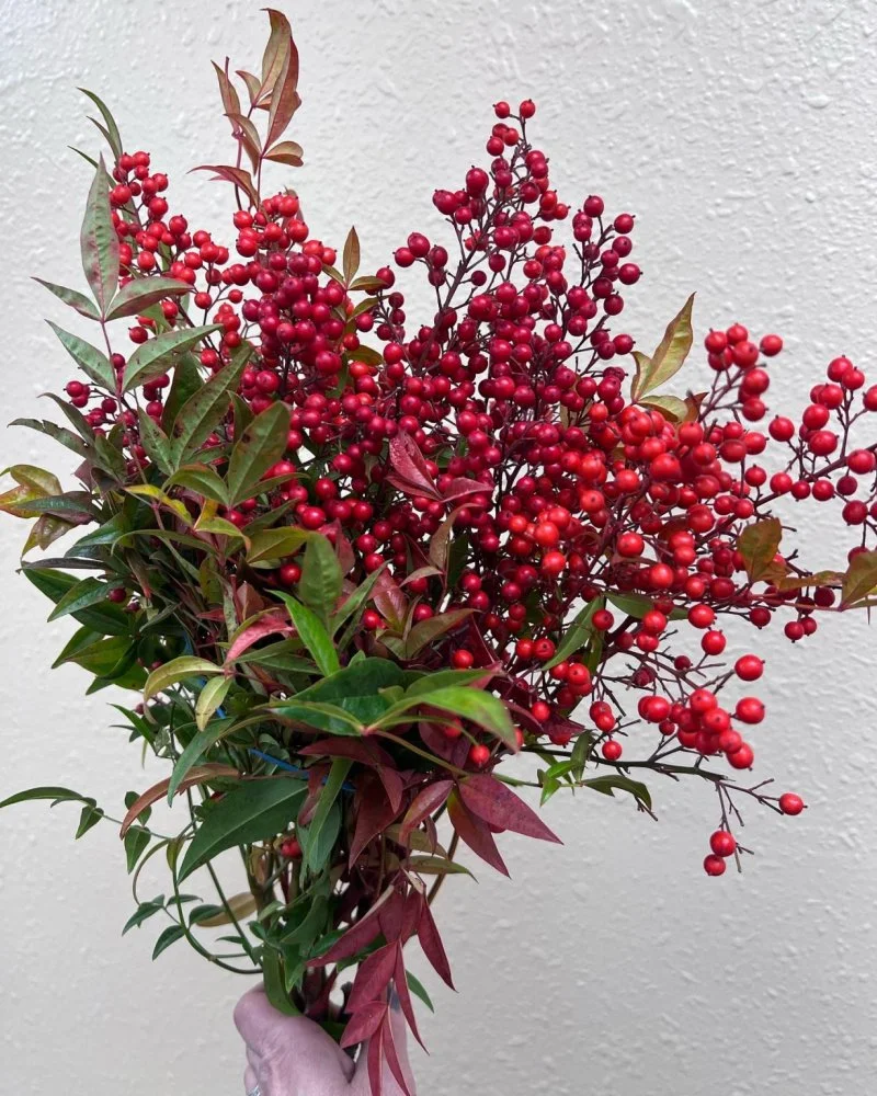 Winter Floral Arrangements Class with Hand Tied – Holiday Centerpiece Workshop in Brookings