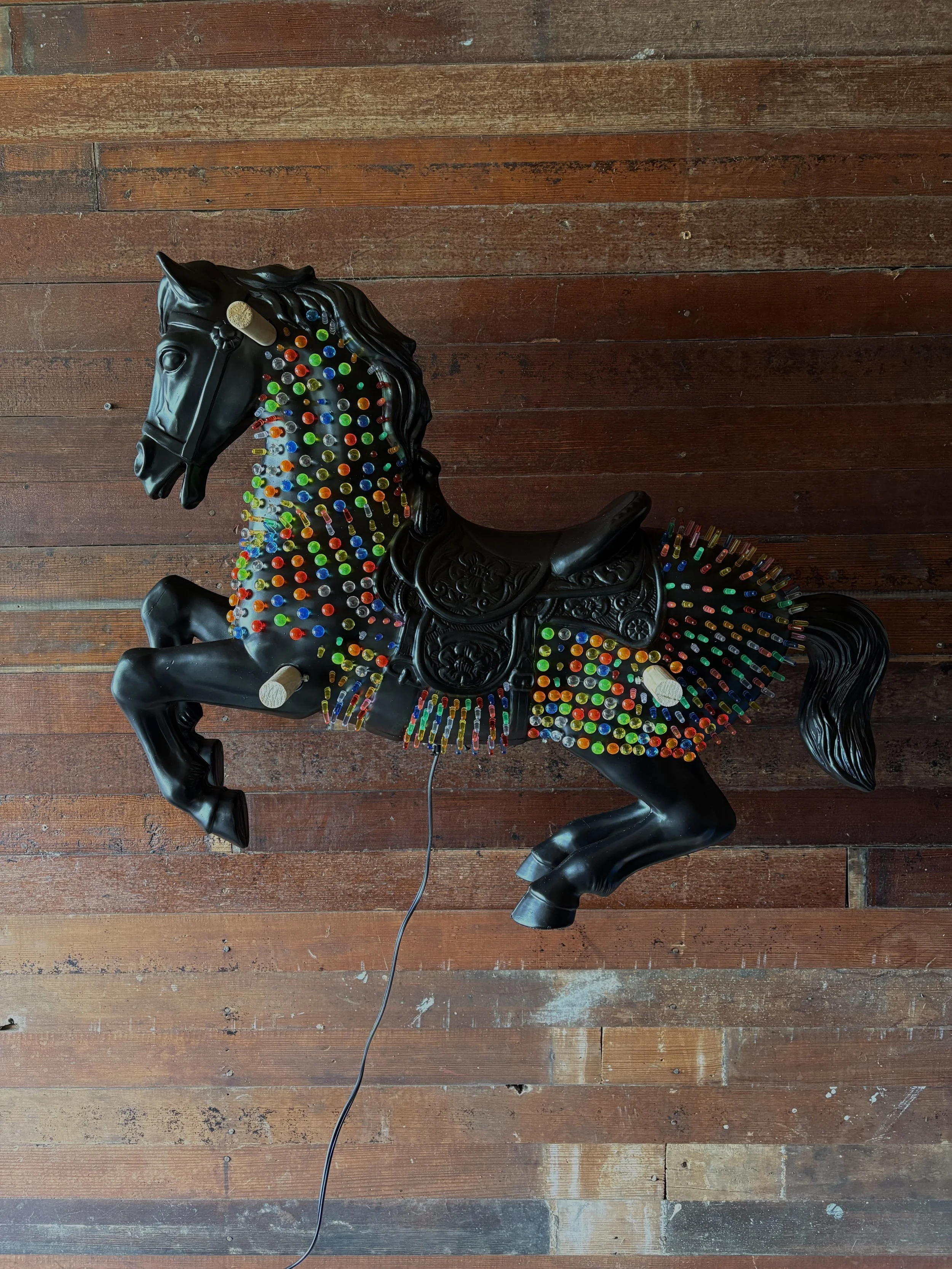 SaddleUp.Nettinga.JPG