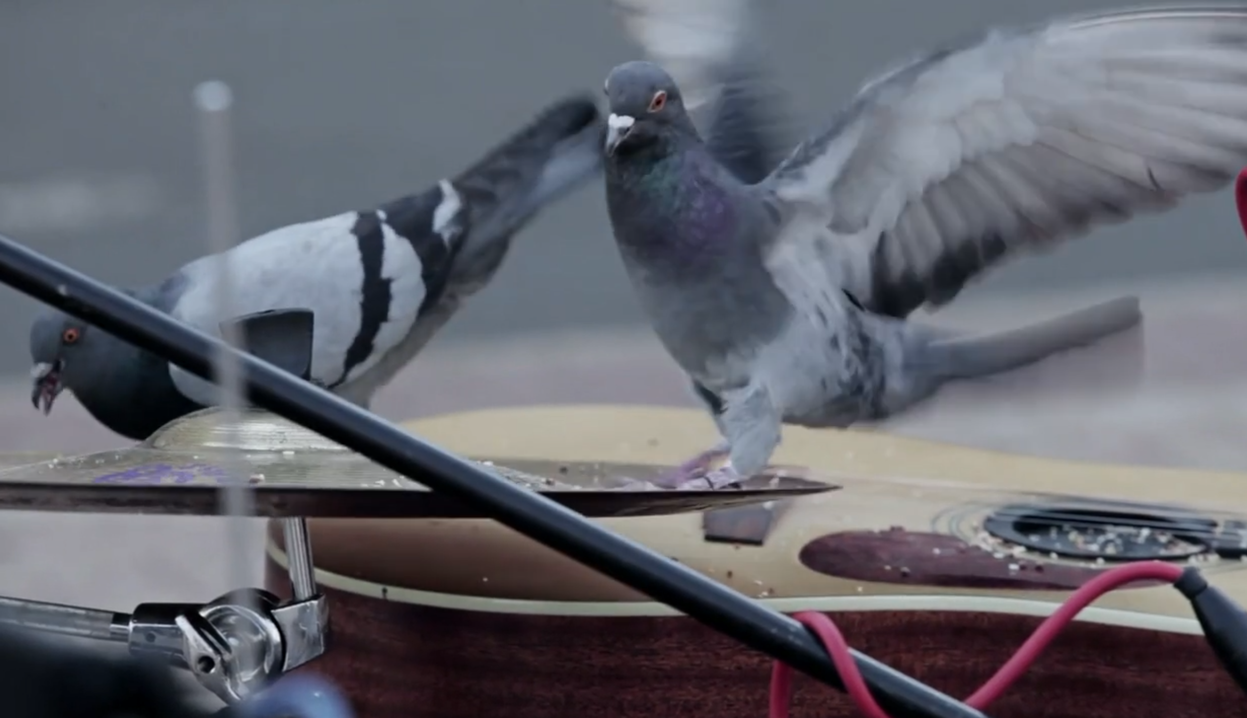 Screen Shot 2019-07-11 at 2.14.45 PM.png