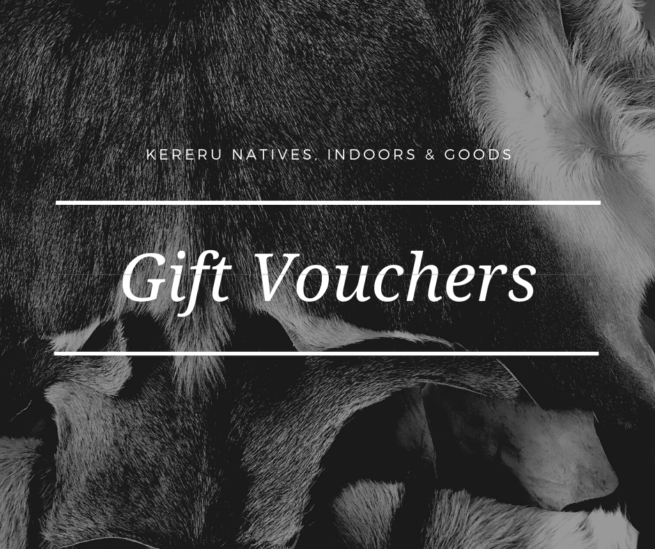 Gift Vouchers