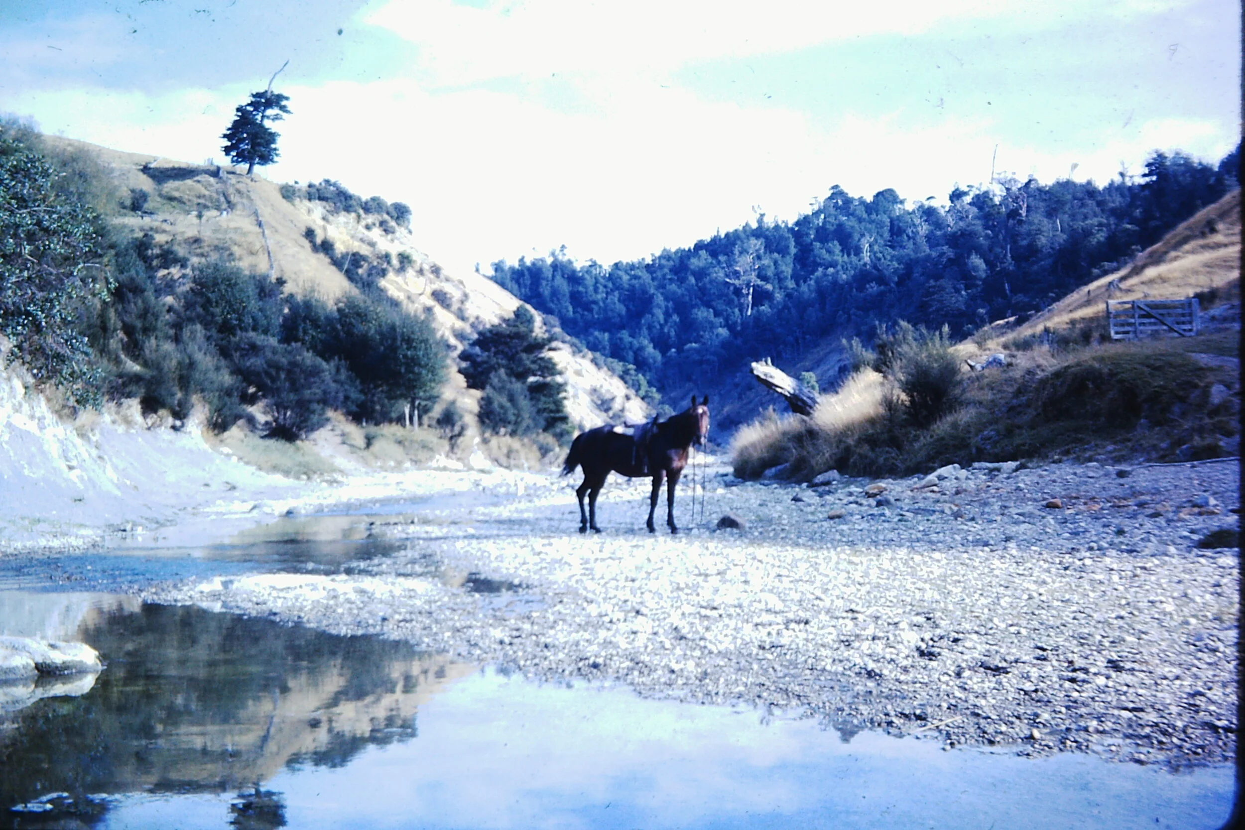 PICT0114.JPG