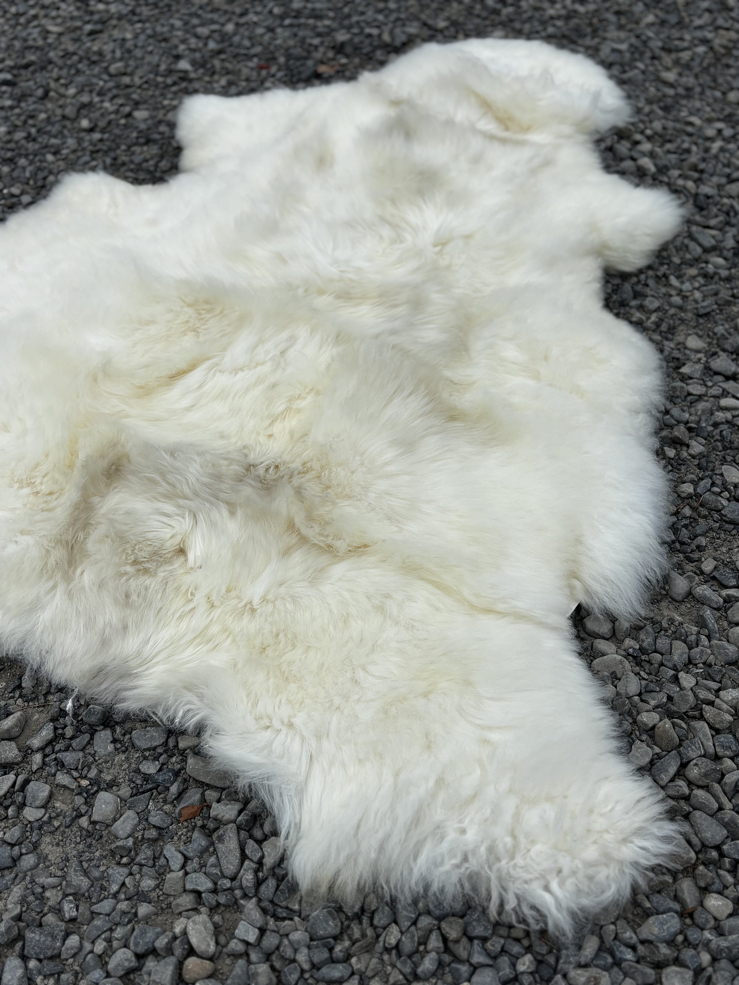 Large Long Wool Sheepskin with colouring
