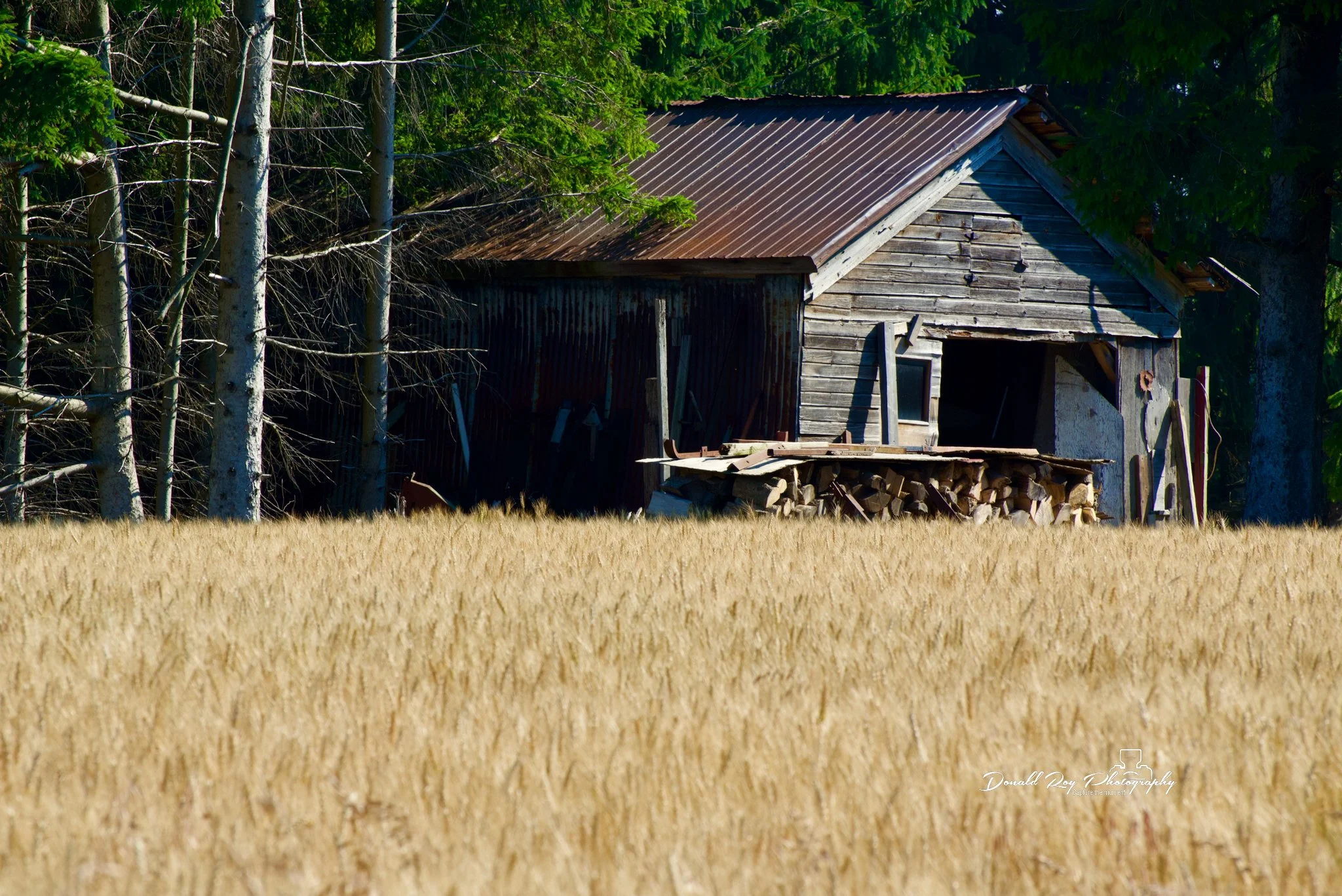 CHS_2047.jpg