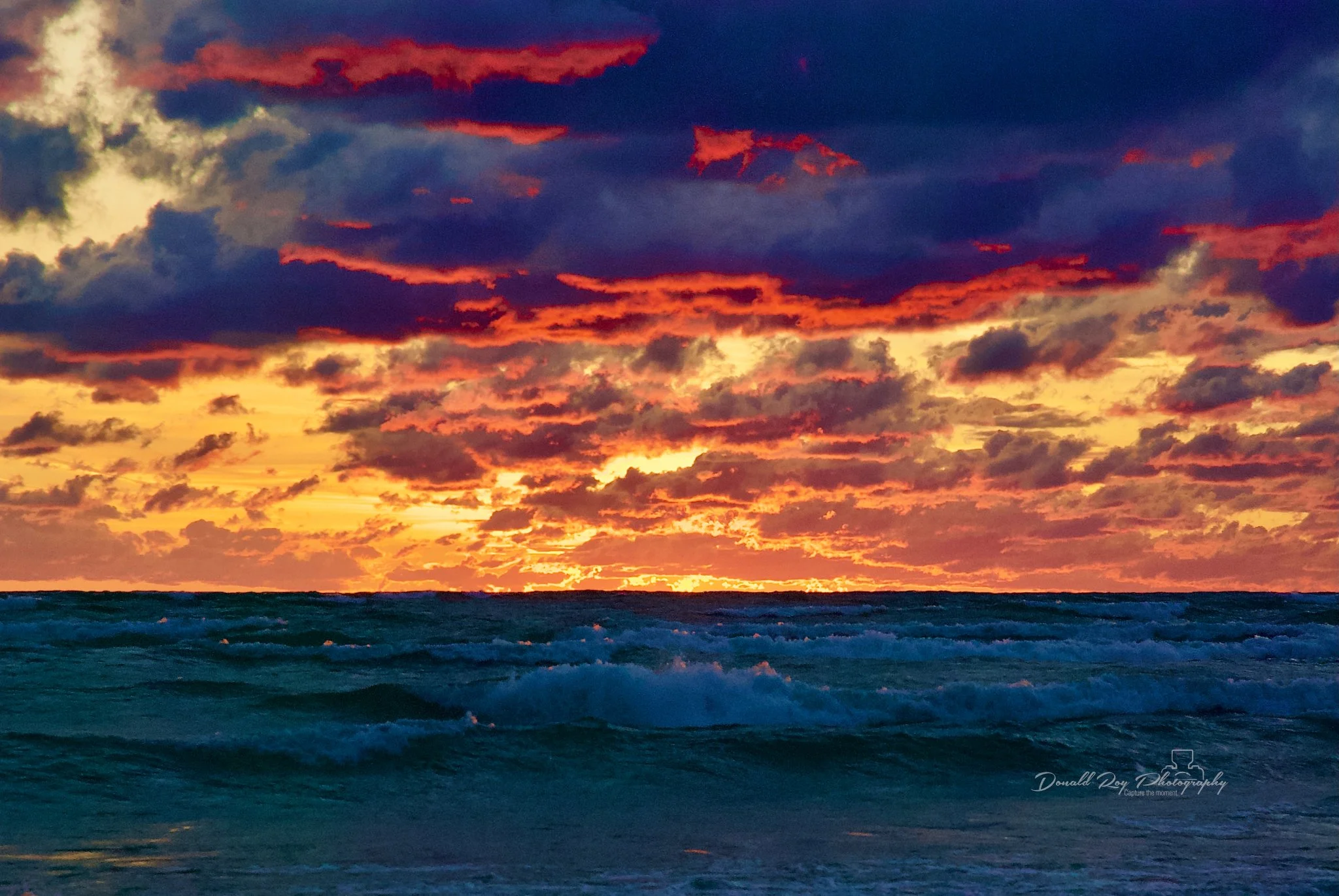 DSC_0655-2.jpg