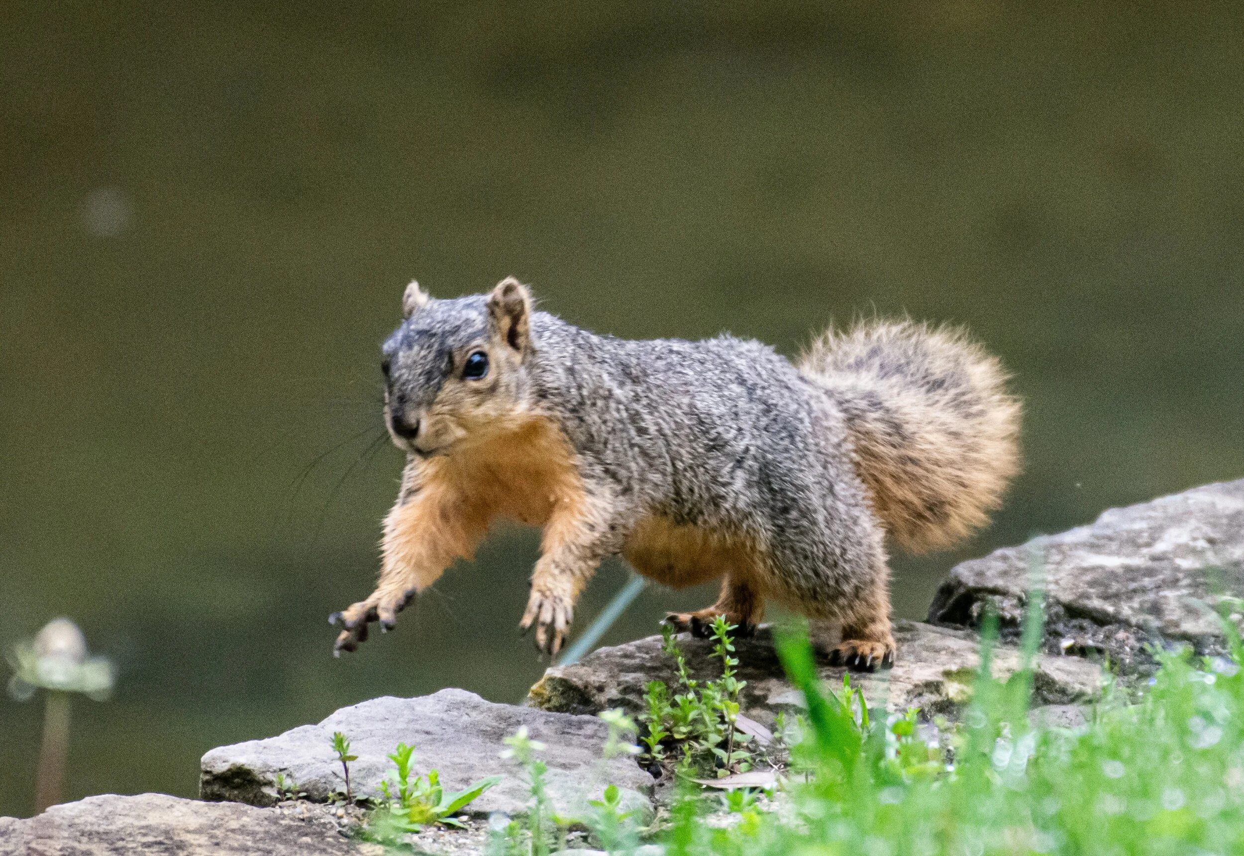 processed_IMG_0654.jpg