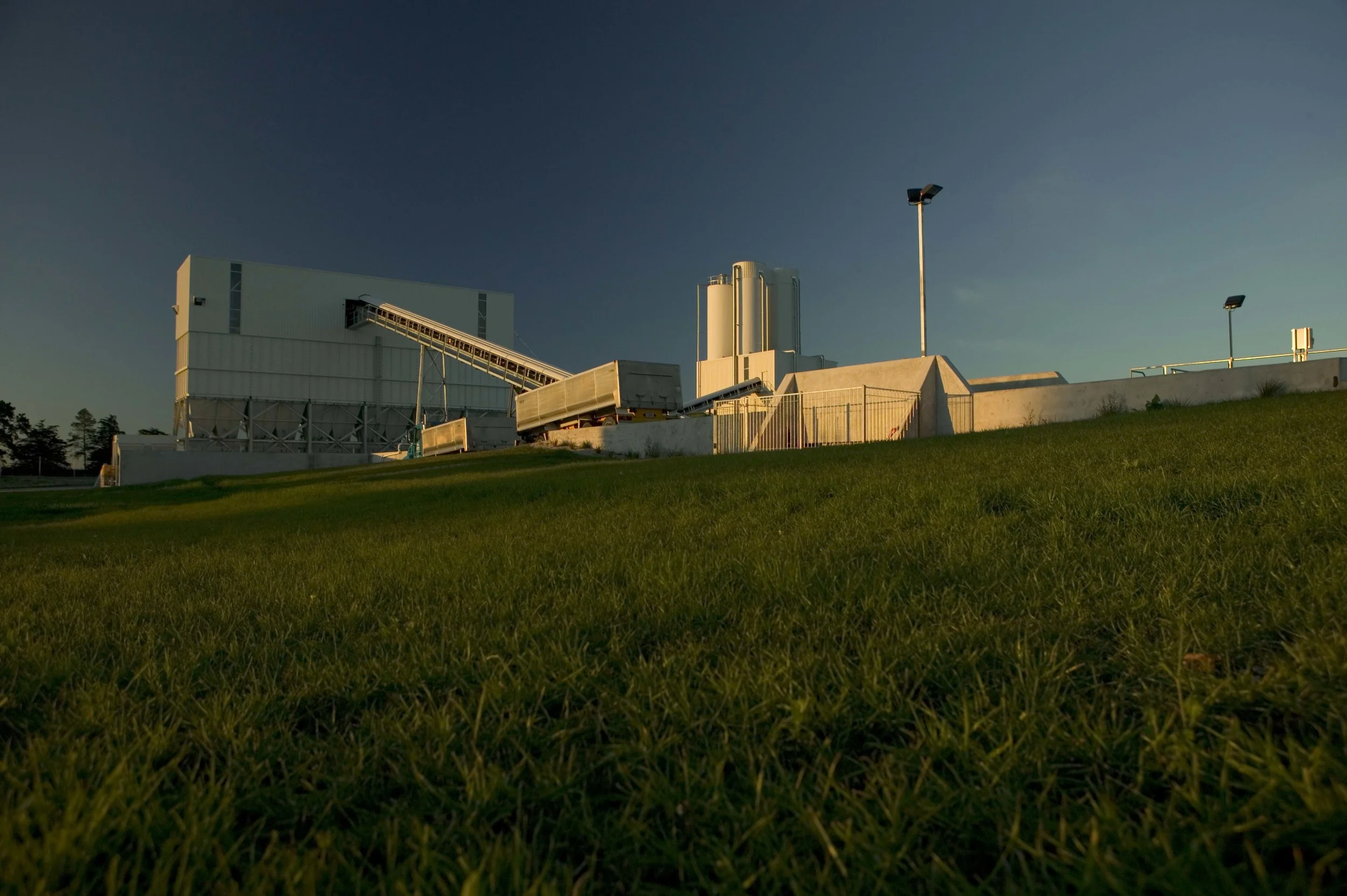 McLeans Island Plant20090511_0204.jpg