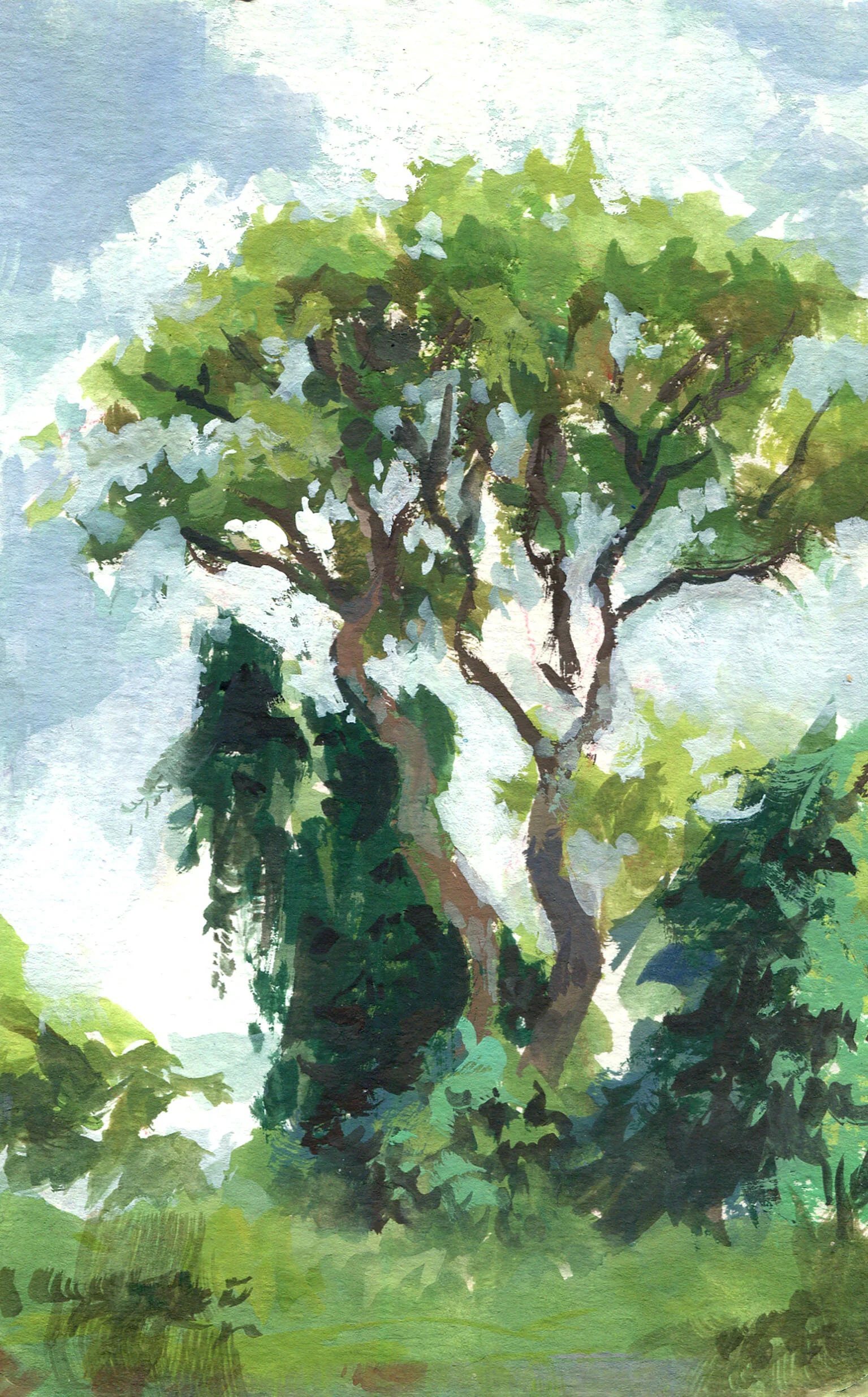 plein air021.jpg