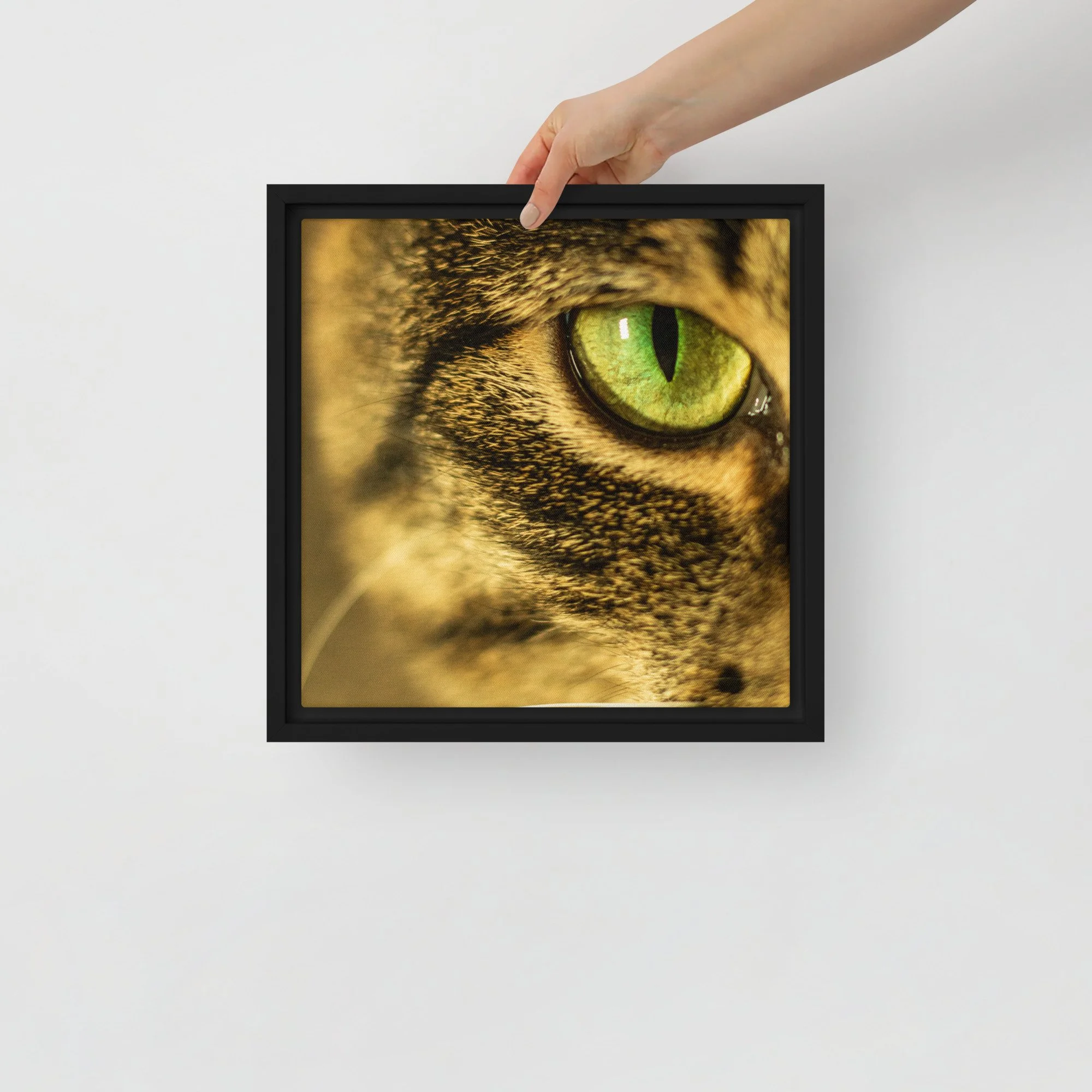 framed-canvas-(in)-black-12x12-front-67e3a8d192072.jpg