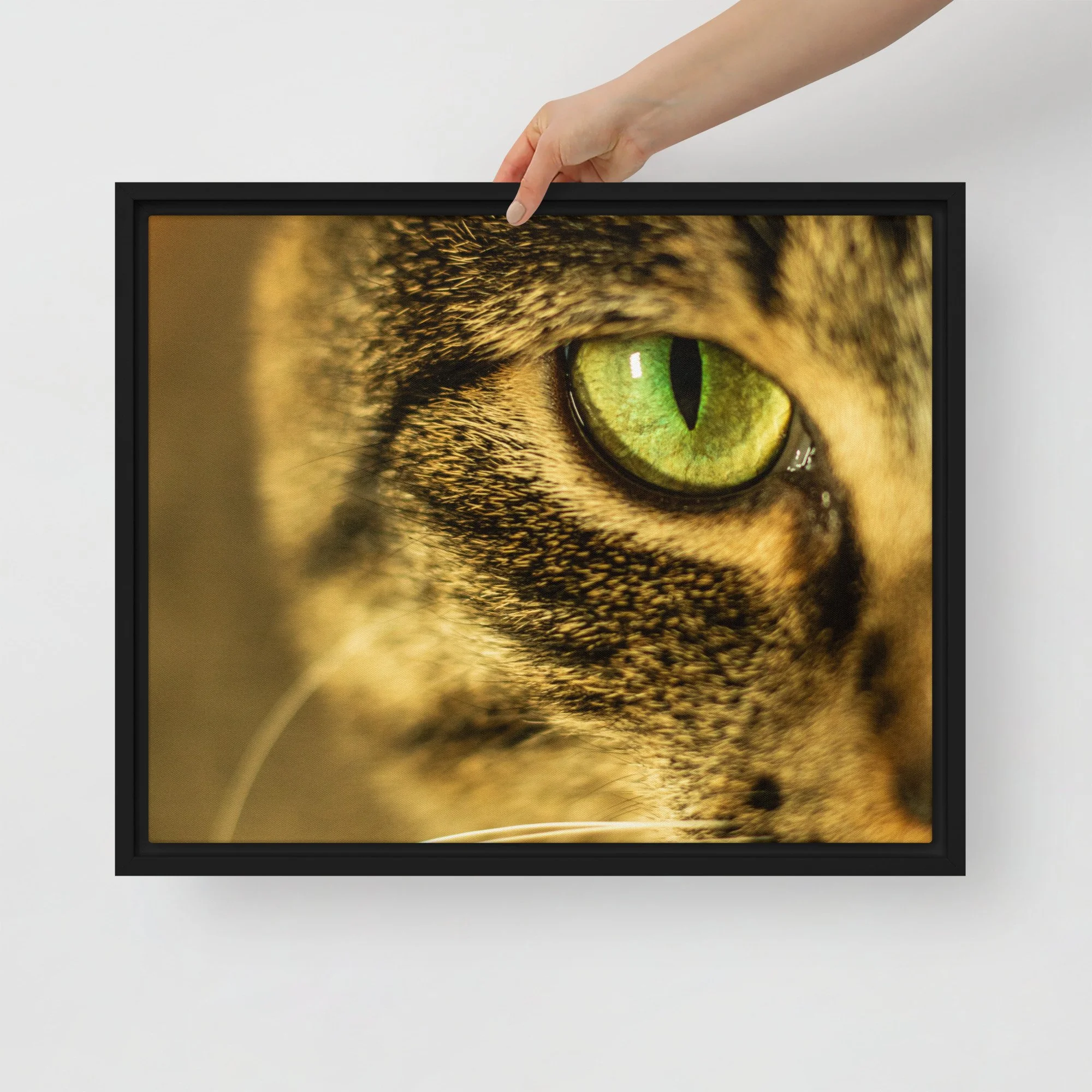 framed-canvas-(in)-black-16x20-front-67e3a8d1922b5.jpg