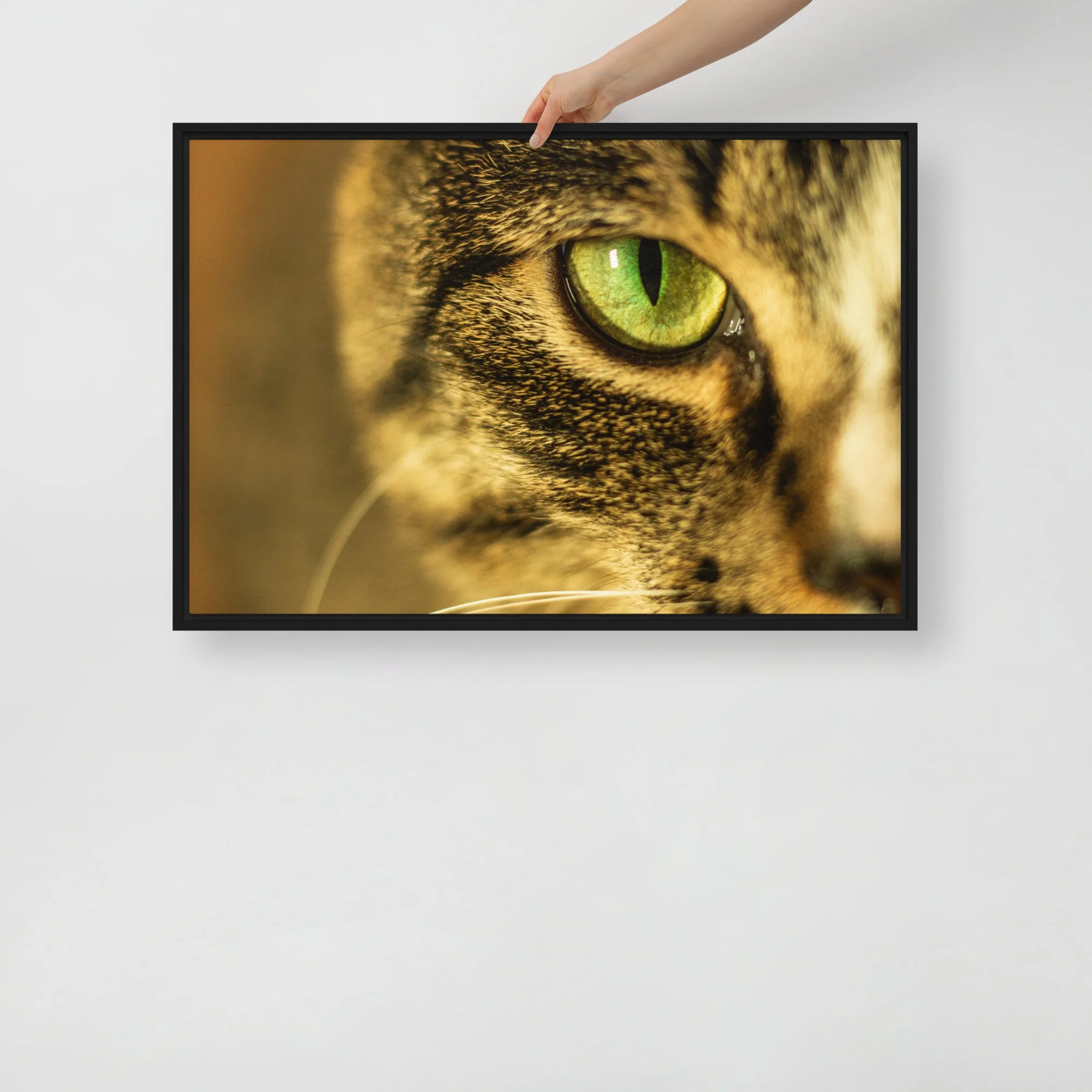 framed-canvas-(in)-black-20x30-front-67e3a8d19244d.jpg
