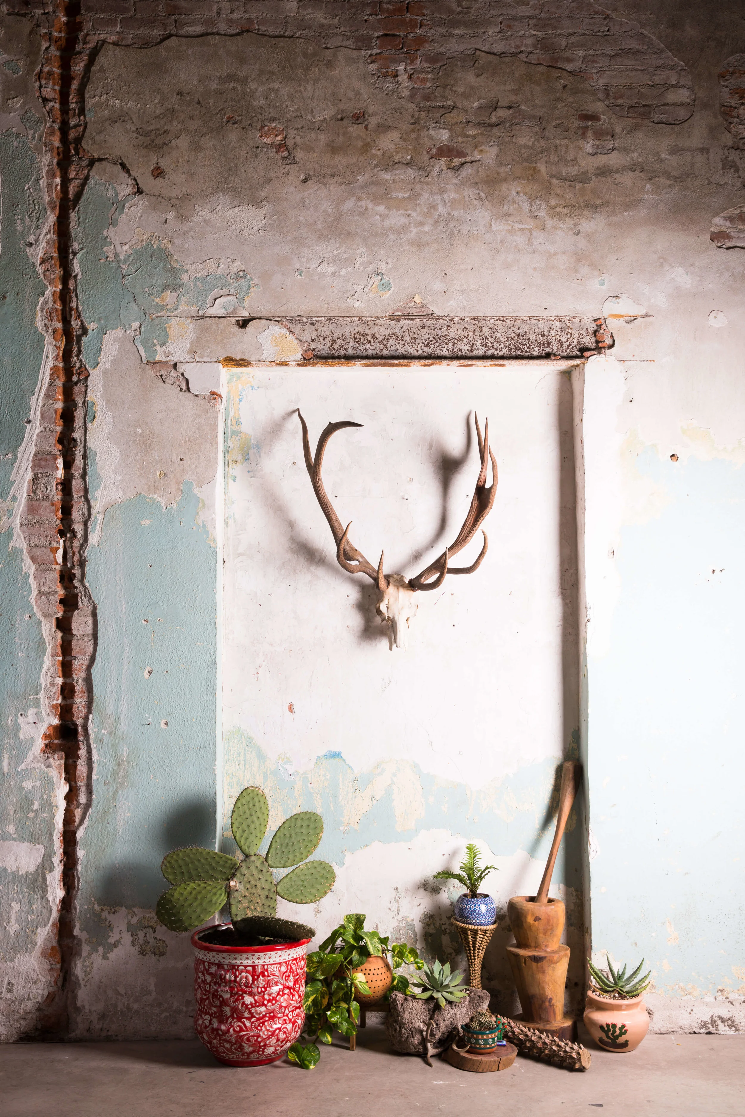 Planta_casaprim-8597.jpg