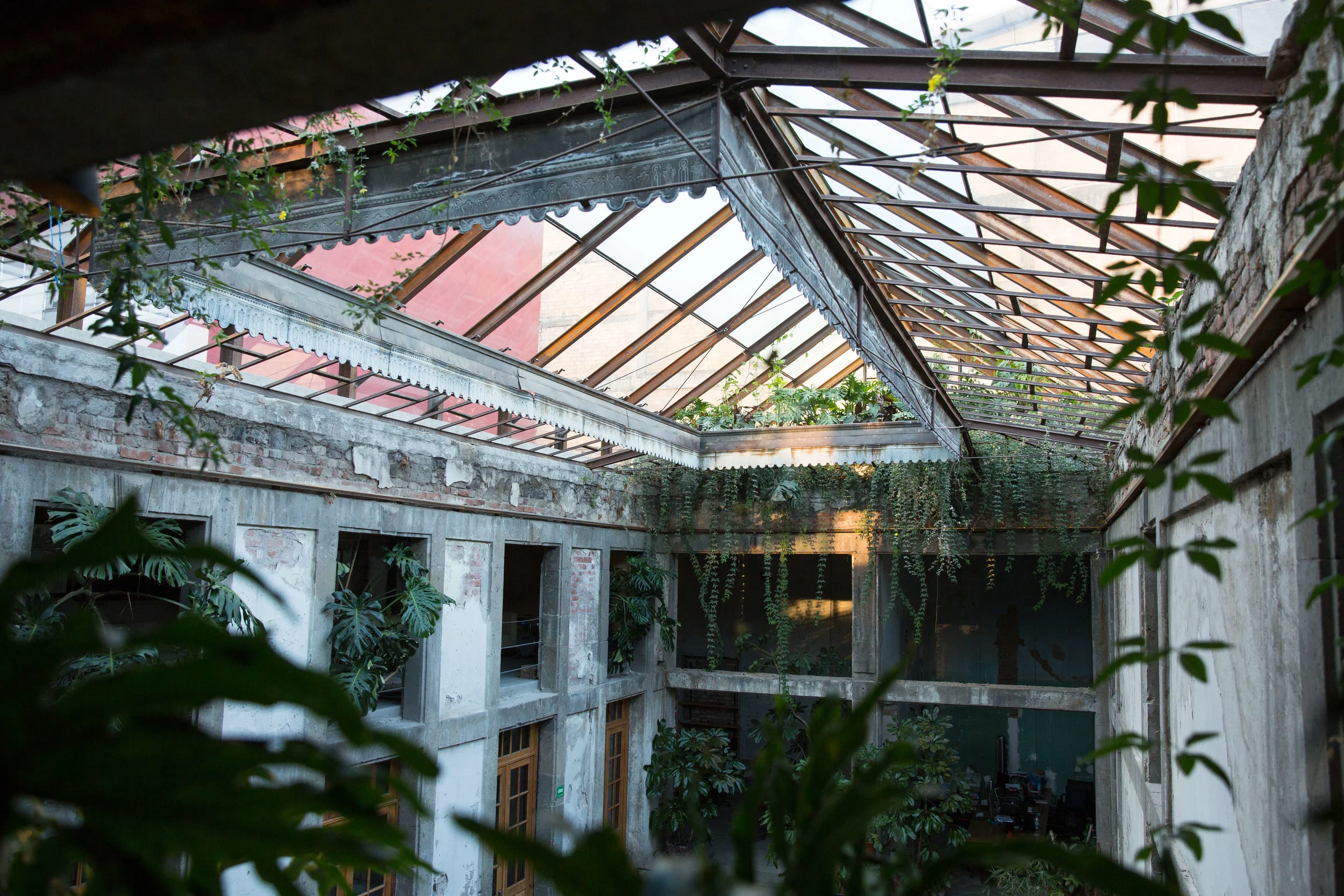 Planta-7365.jpg
