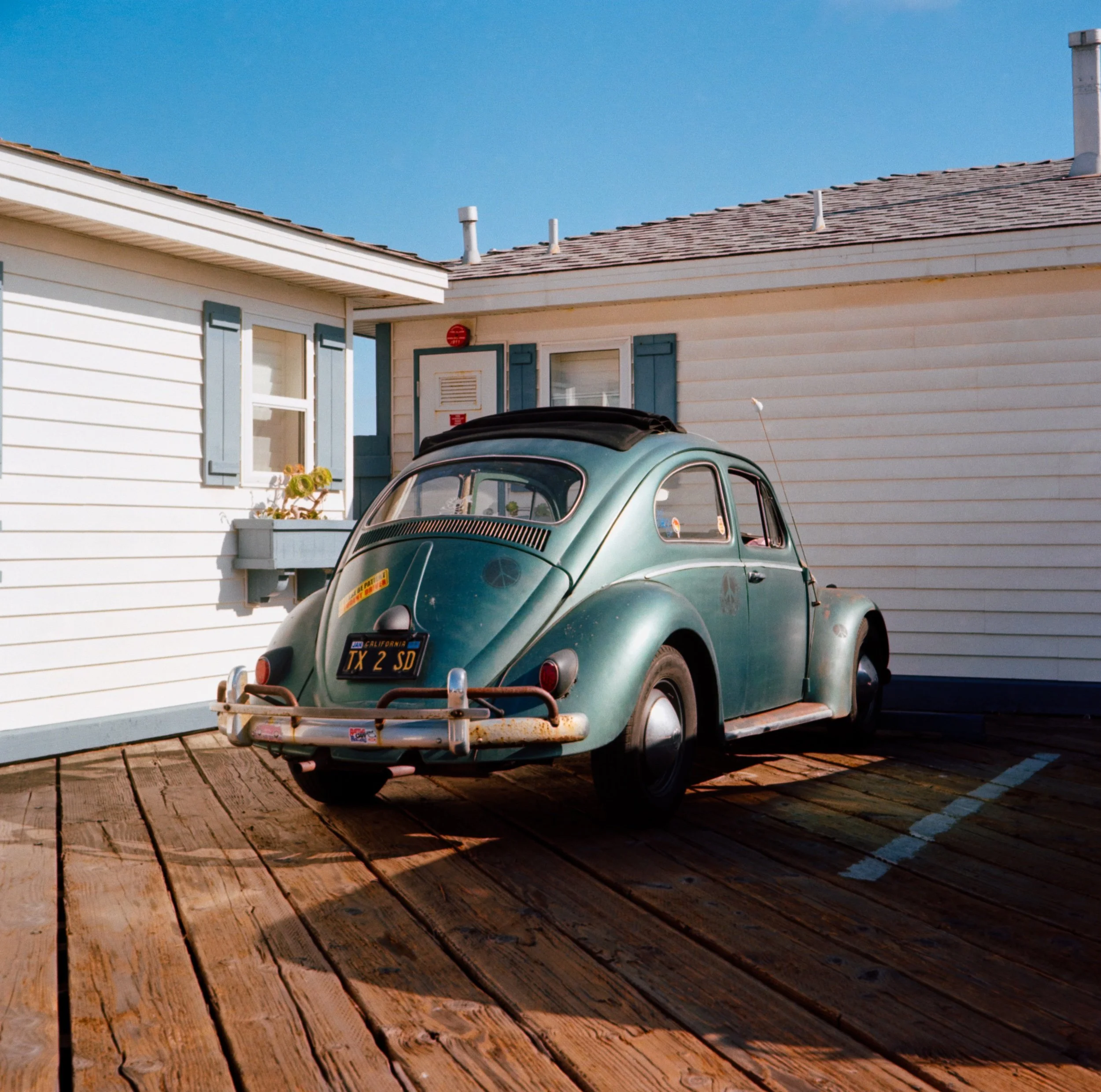DSC_1429-edit.jpeg