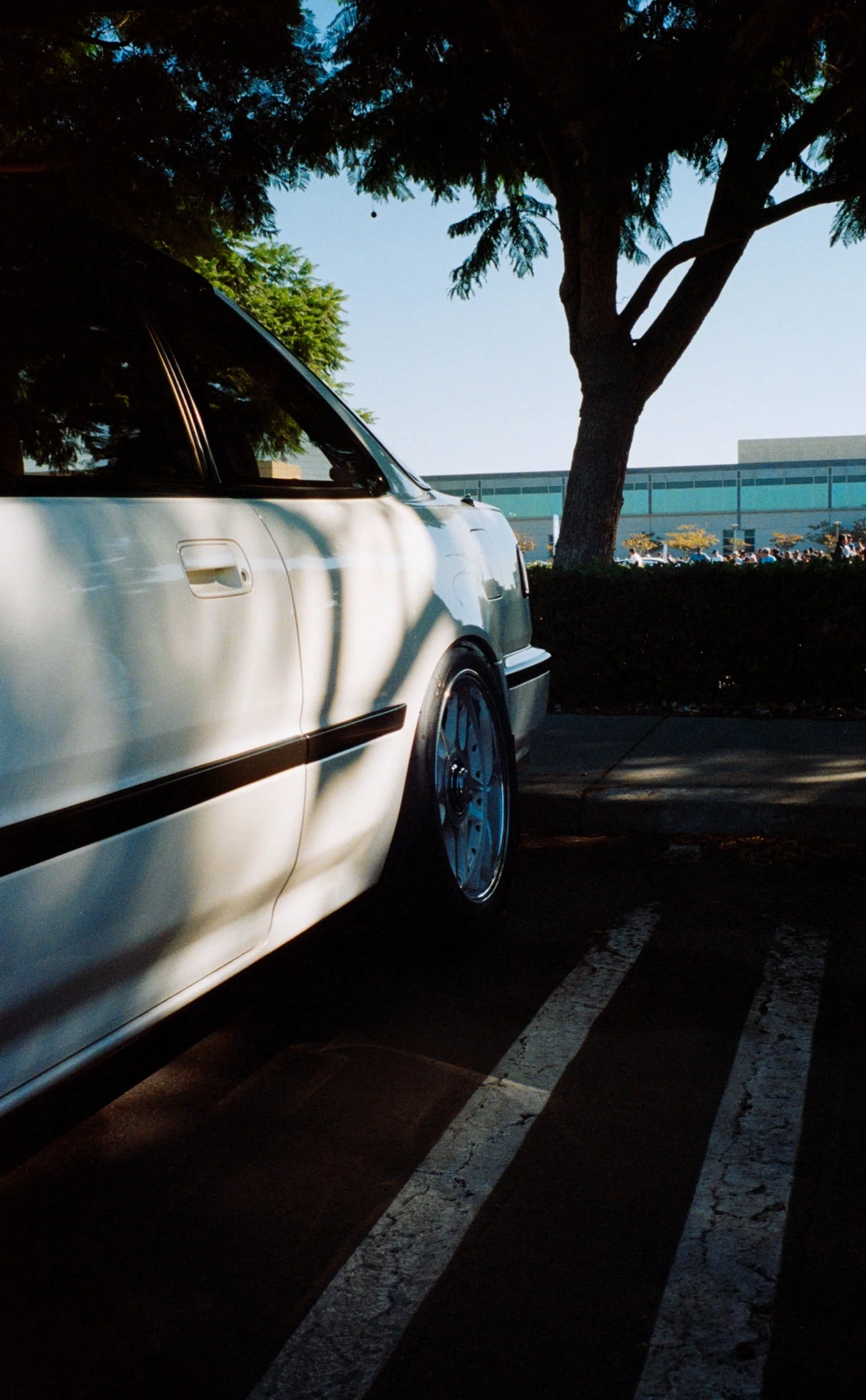 DSC_2537_edit.jpeg