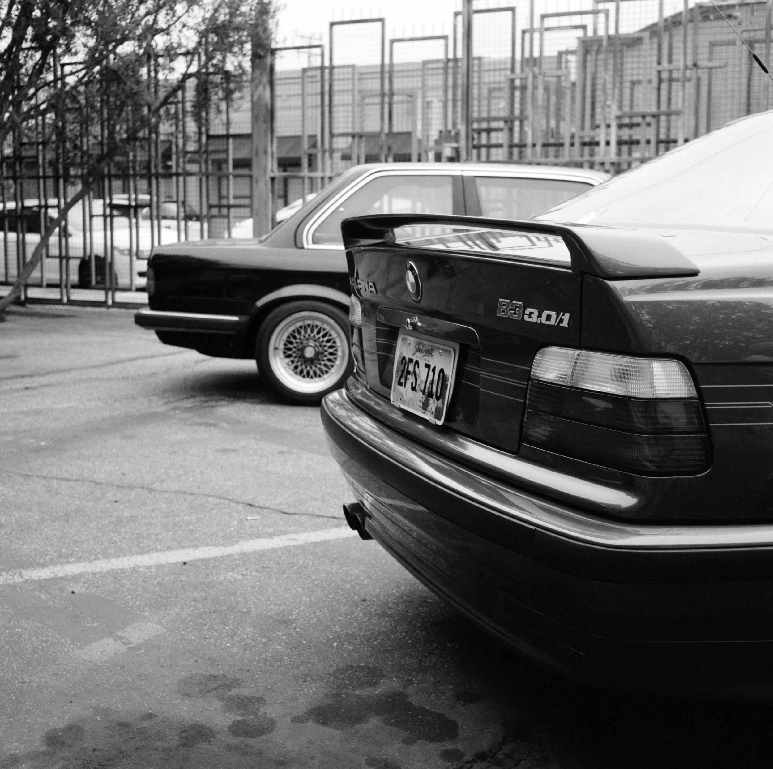 DSC_4771_Edit.jpeg