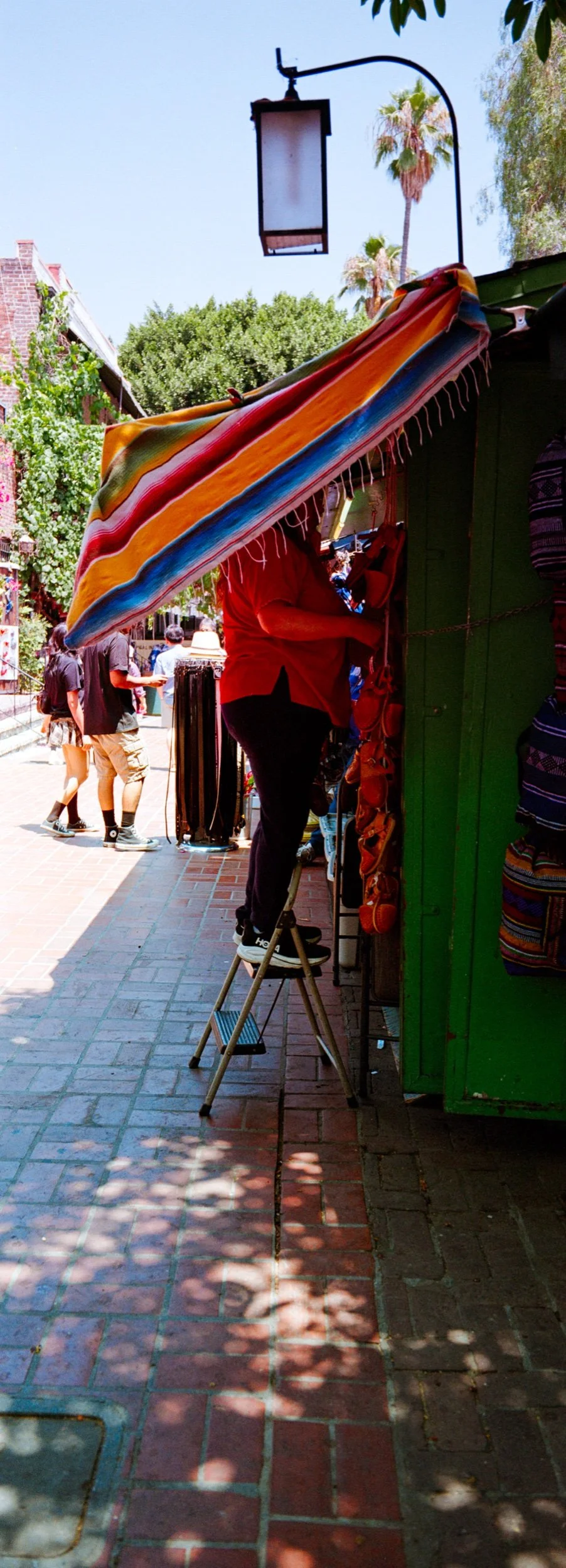 DSC_8462-Edit_Edit.jpeg