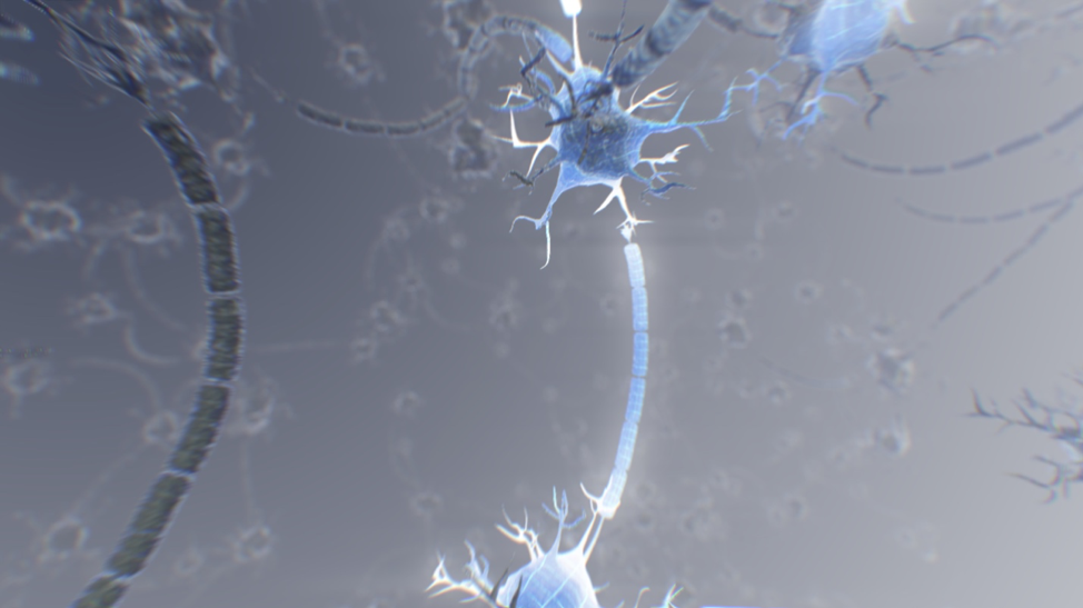 Brain 3.png