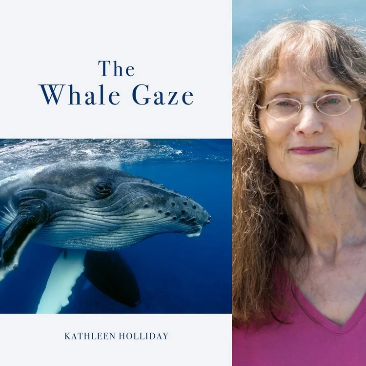 Cover of The Whale Gaze, beside a photo of Kathleen Holliday