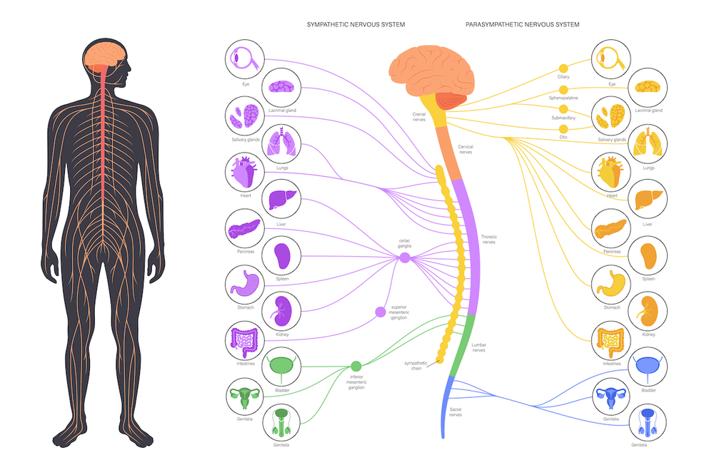 Horner's Syndrome | doctorlansford.com