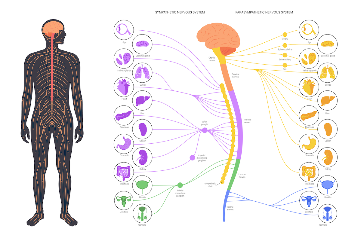 Horner's Syndrome | doctorlansford.com